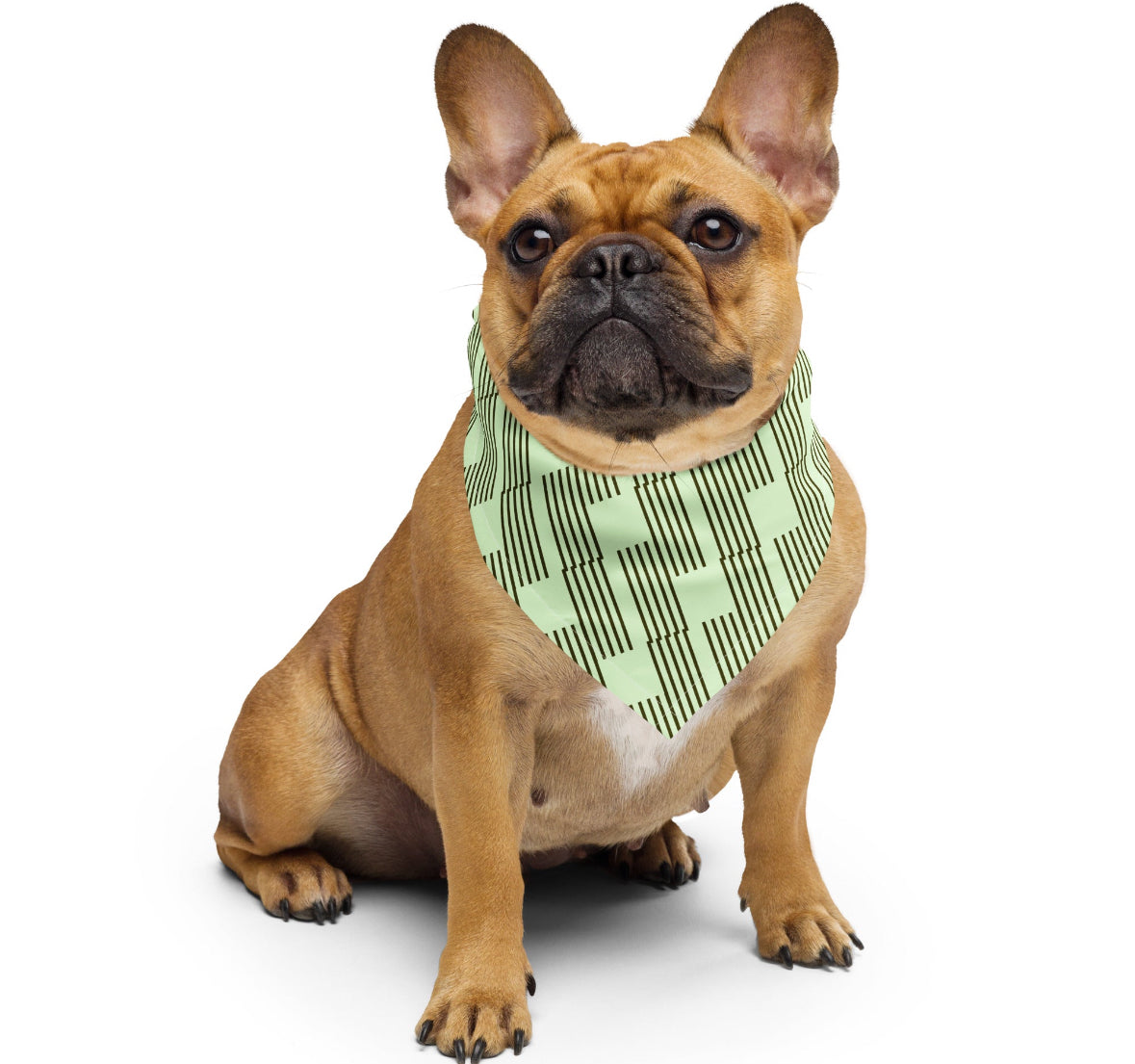 Pet Bandanas